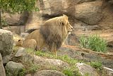 leipzig zoo-01_07_2011_zoo_allgemein_241
